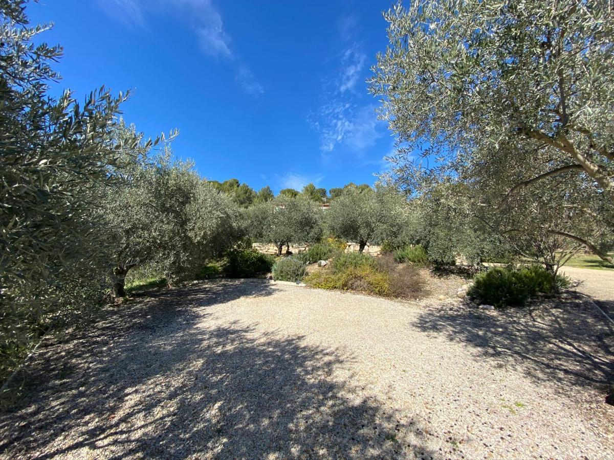 Gite La Maison Dans L'Olivette Oraison Esterno foto