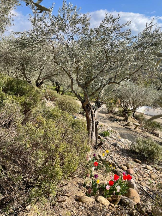 Gite La Maison Dans L'Olivette Oraison Esterno foto