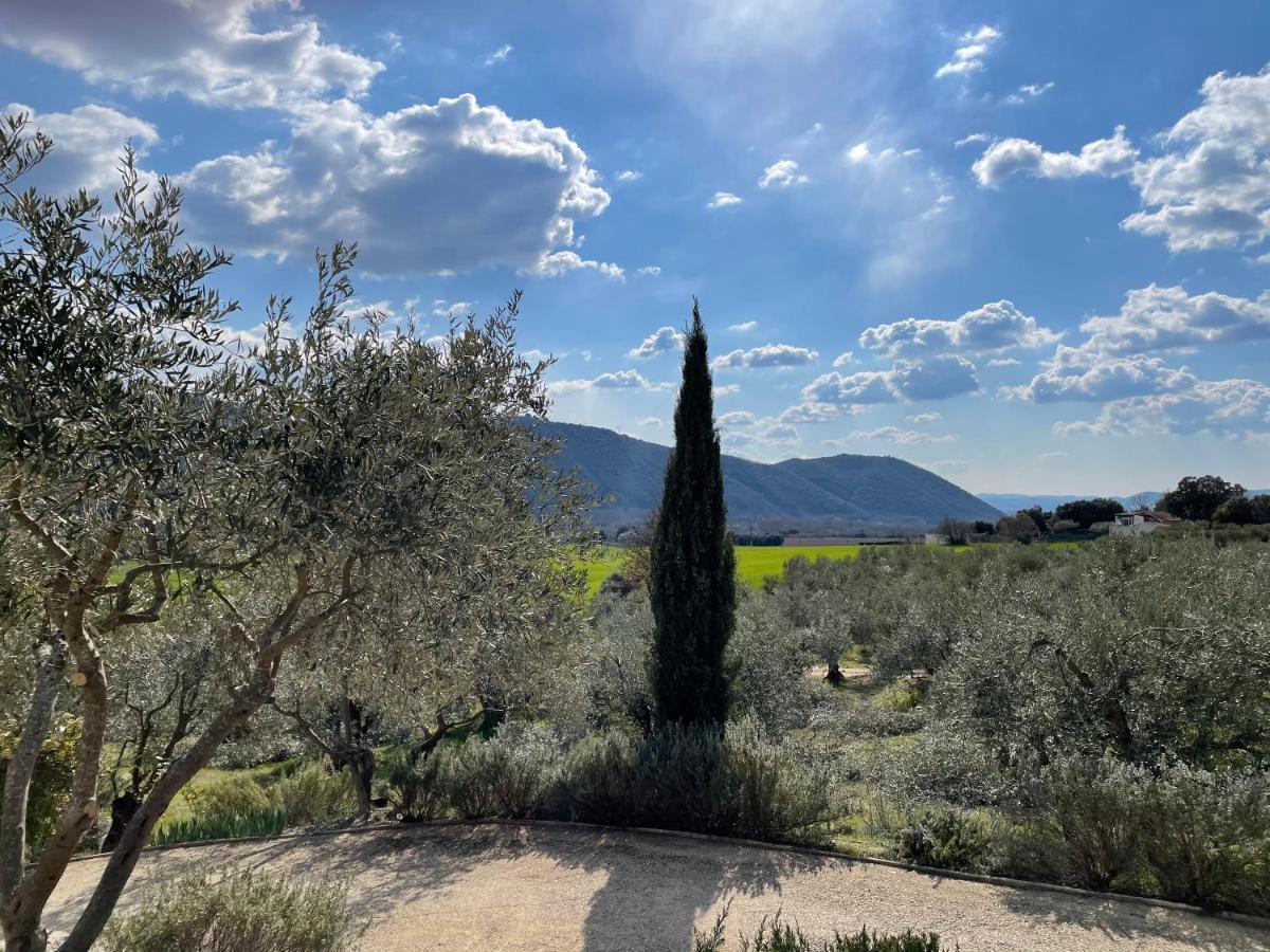 Gite La Maison Dans L'Olivette Oraison Esterno foto