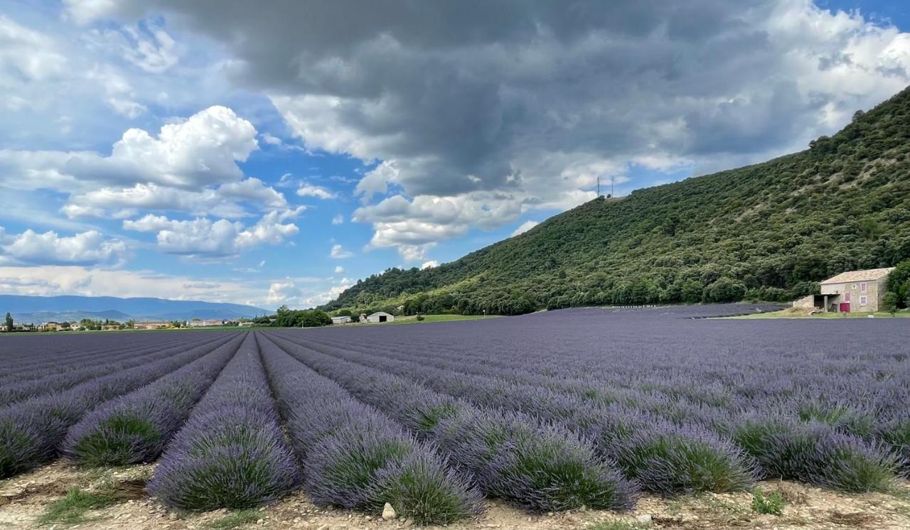 Gite La Maison Dans L'Olivette Oraison Esterno foto