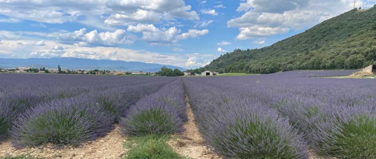 Gite La Maison Dans L'Olivette Oraison Esterno foto